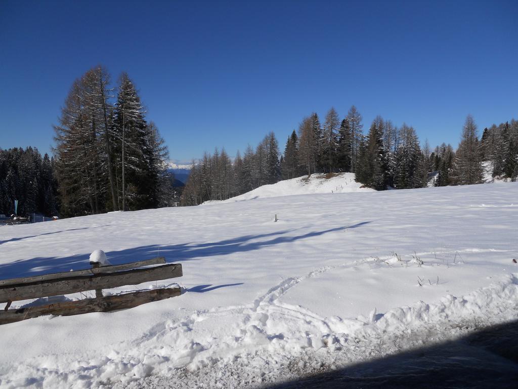 Villa Tamion Vigo di Fassa Dış mekan fotoğraf